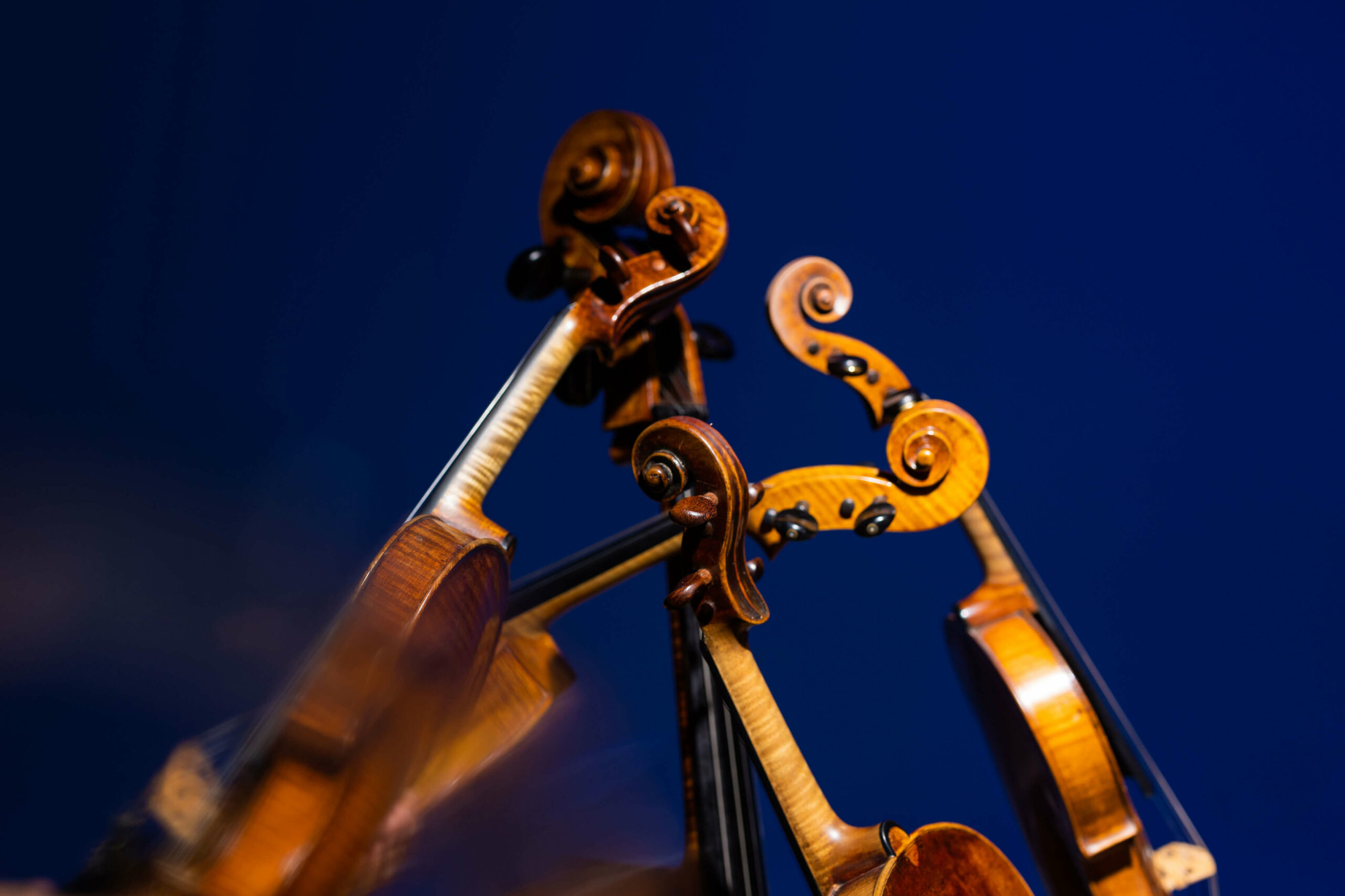 BRYGGEN Bruges Strings